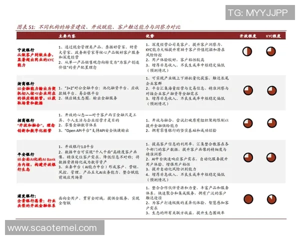 深圳篮球队实力分析与未来发展潜力的深度探讨